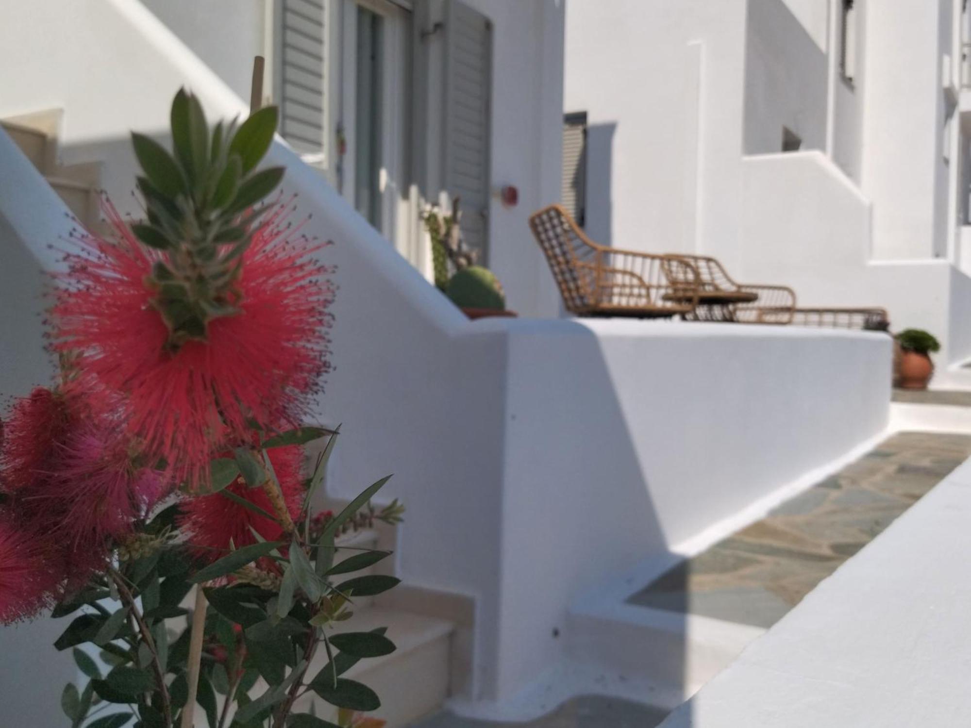 Gaia Serifos Apartments Ramos Phòng bức ảnh